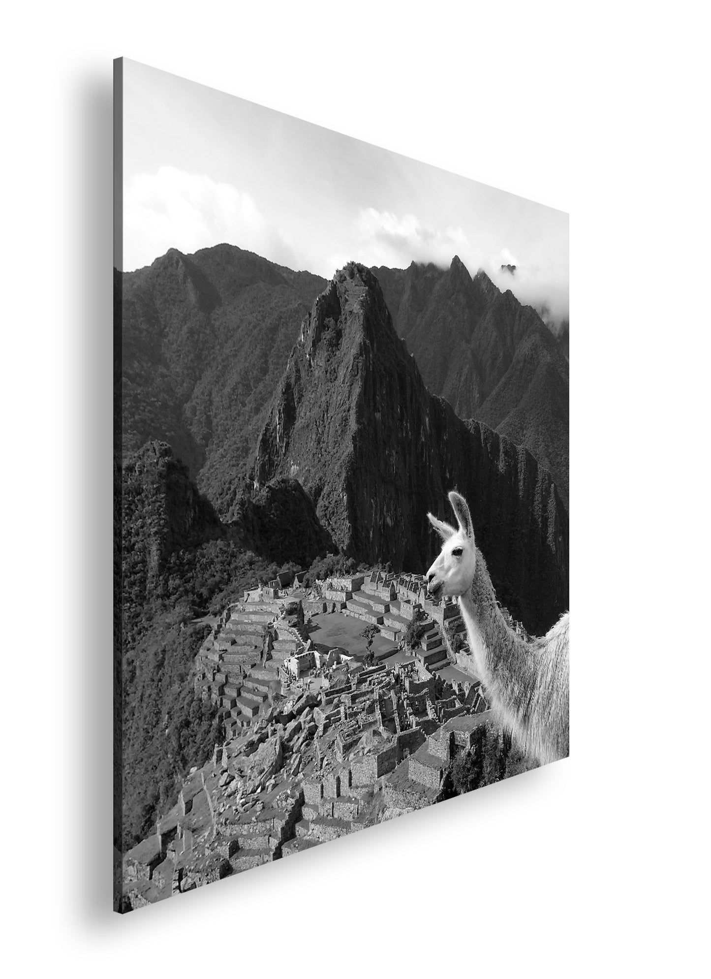 Hauptbild Schwarz & Weiß Quadratisch