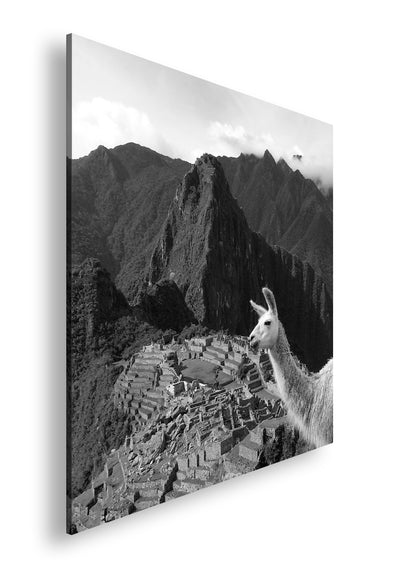 Hauptbild Schwarz & Weiß Quadratisch