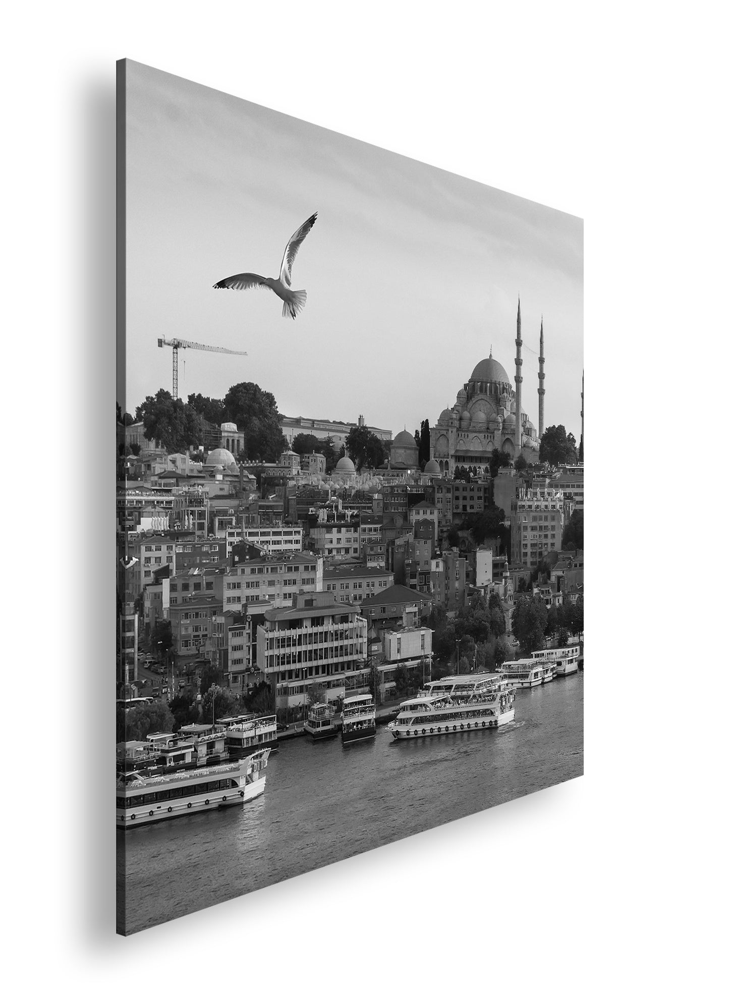 Hauptbild Schwarz & Weiß Quadratisch