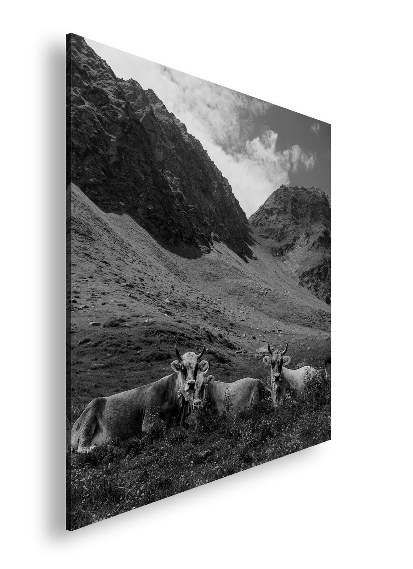 Hauptbild Schwarz & Weiß Quadratisch