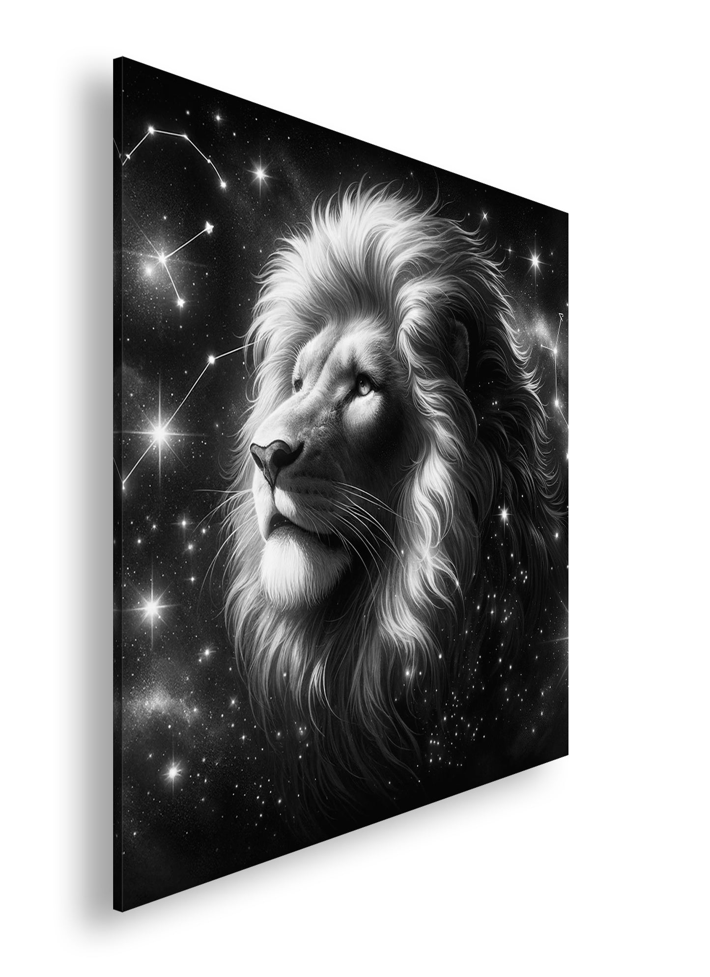 Hauptbild Schwarz & Weiß Quadratisch