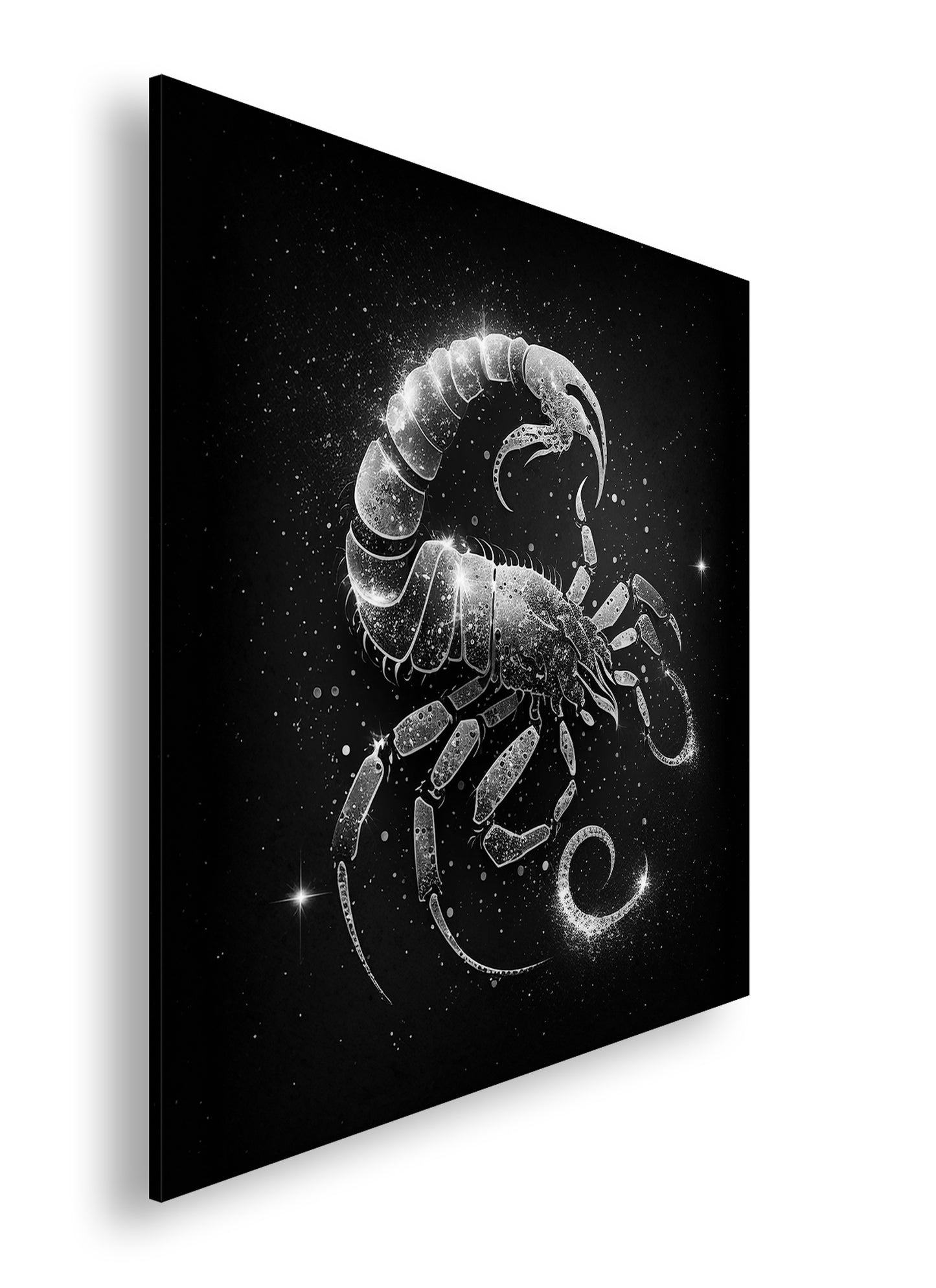 Hauptbild Schwarz & Weiß Quadratisch