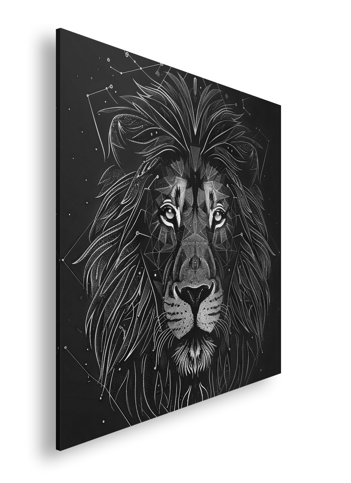 Hauptbild Schwarz & Weiß Quadratisch