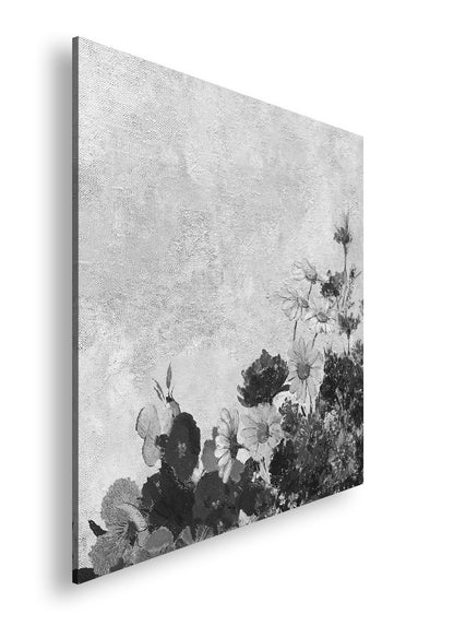 Hauptbild Schwarz & Weiß Quadratisch