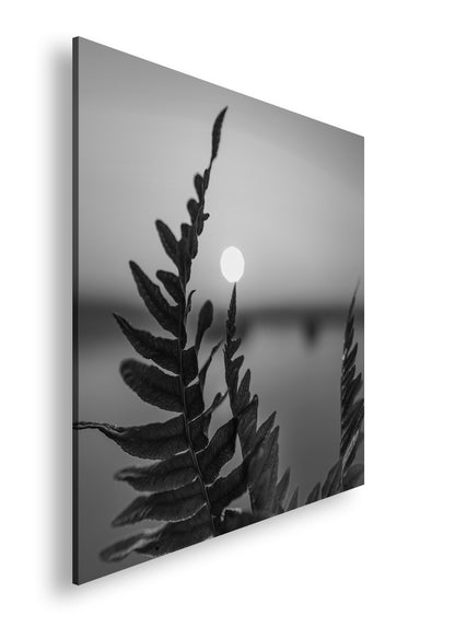 Hauptbild Schwarz & Weiß Quadratisch