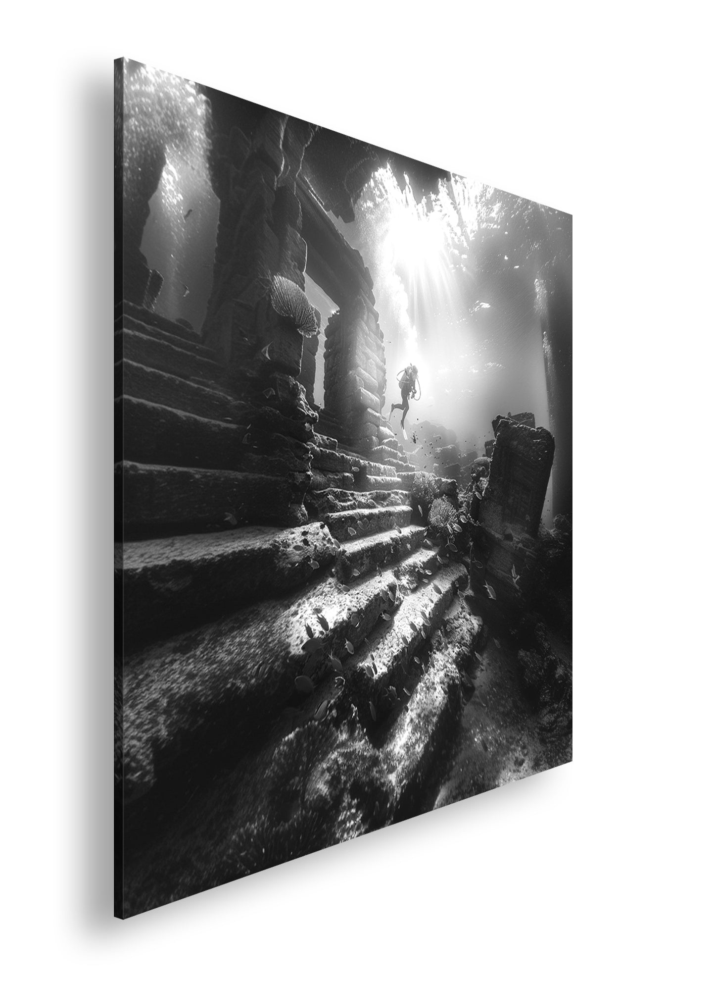 Hauptbild Schwarz & Weiß Quadratisch