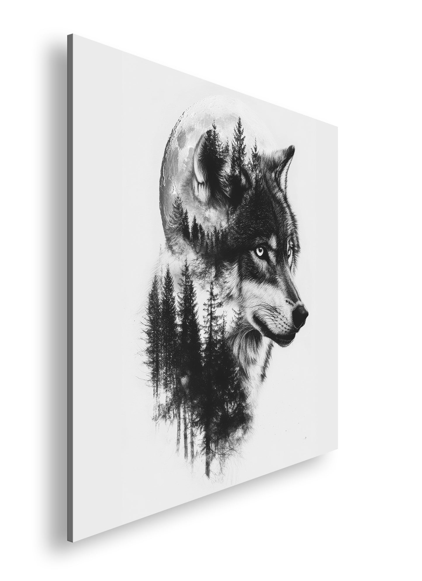 Hauptbild Schwarz & Weiß Quadratisch