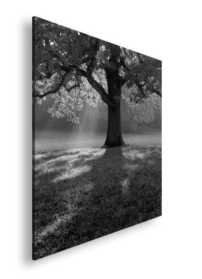 Hauptbild Schwarz & Weiß Quadratisch