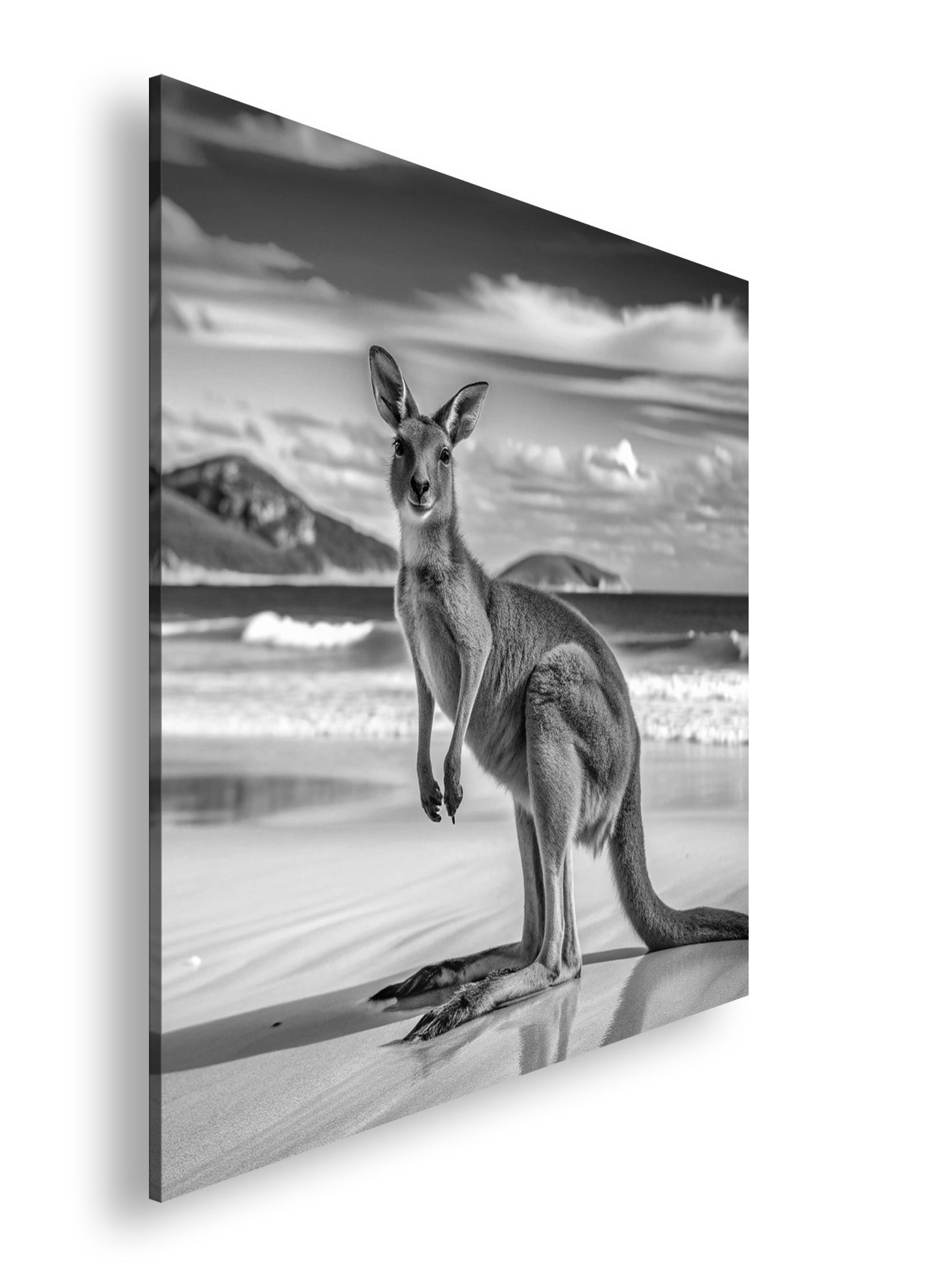 Hauptbild Schwarz & Weiß Quadratisch