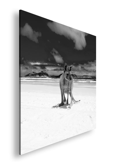 Hauptbild Schwarz & Weiß Quadratisch