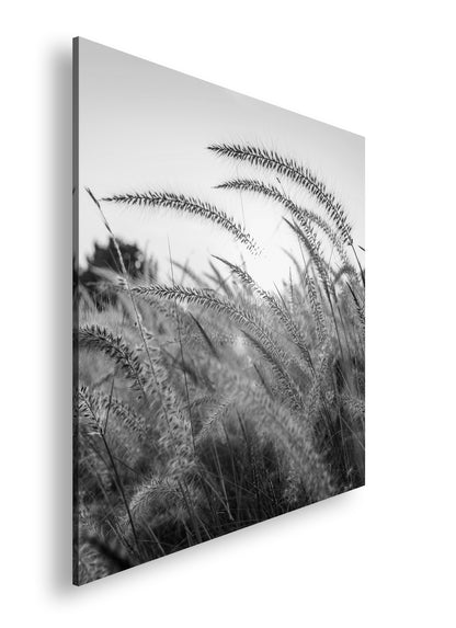 Hauptbild Schwarz & Weiß Quadratisch