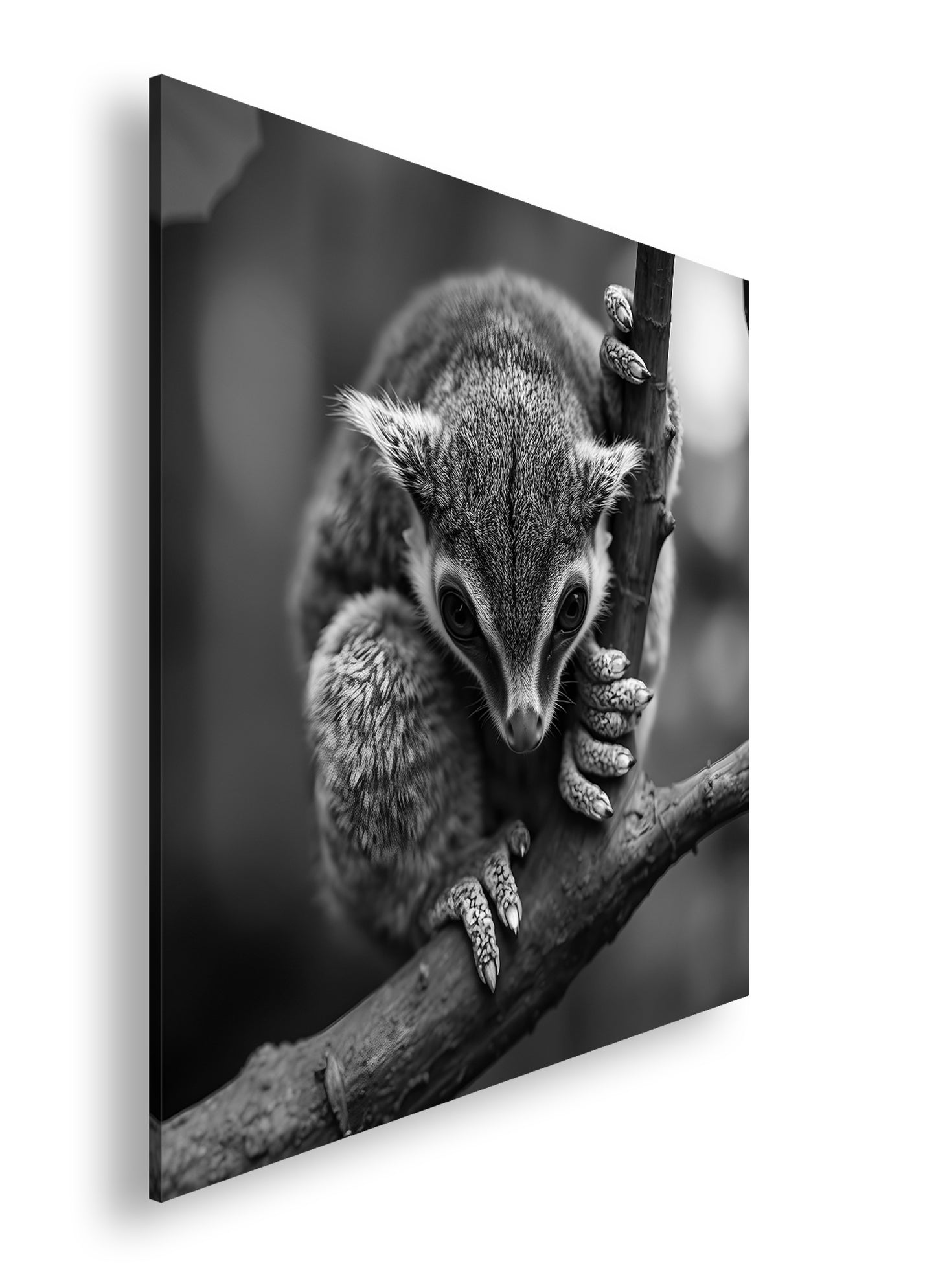 Hauptbild Schwarz & Weiß Quadratisch