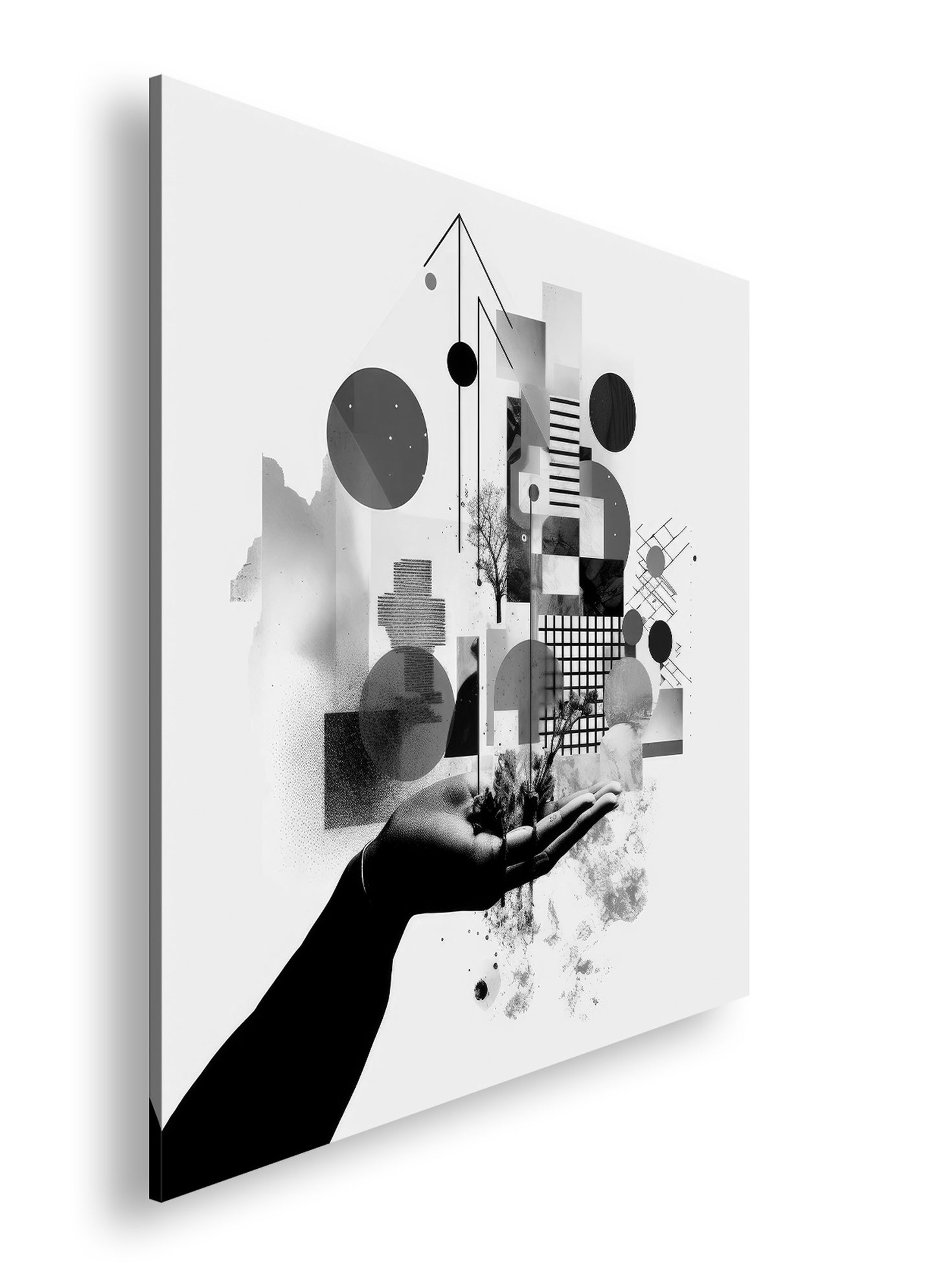 Hauptbild Schwarz & Weiß Quadratisch