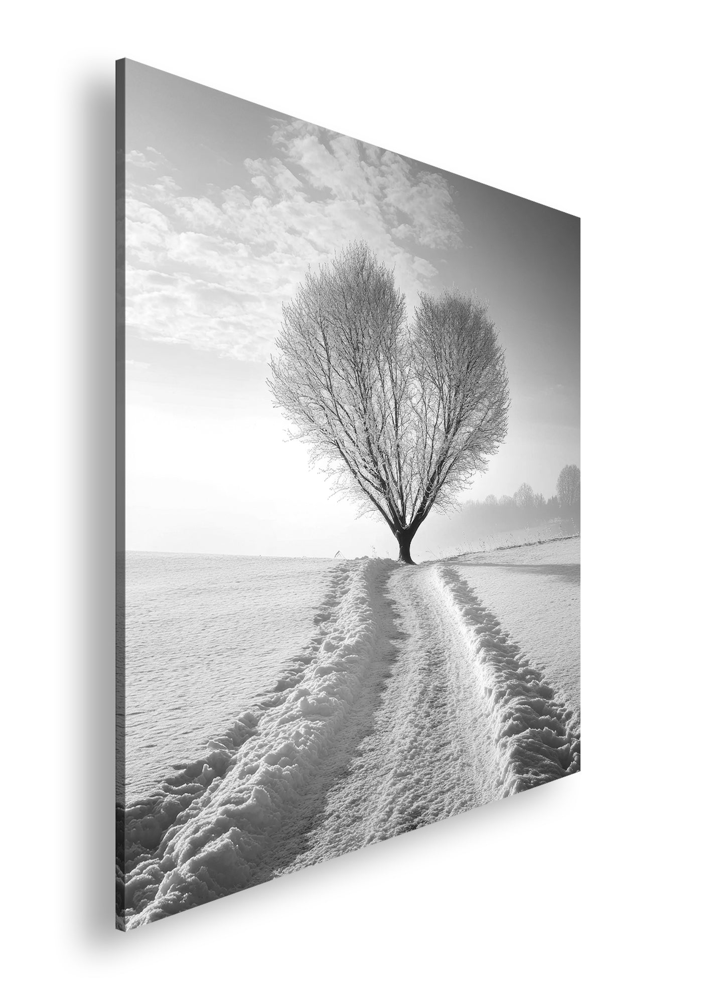 Hauptbild Schwarz & Weiß Quadratisch