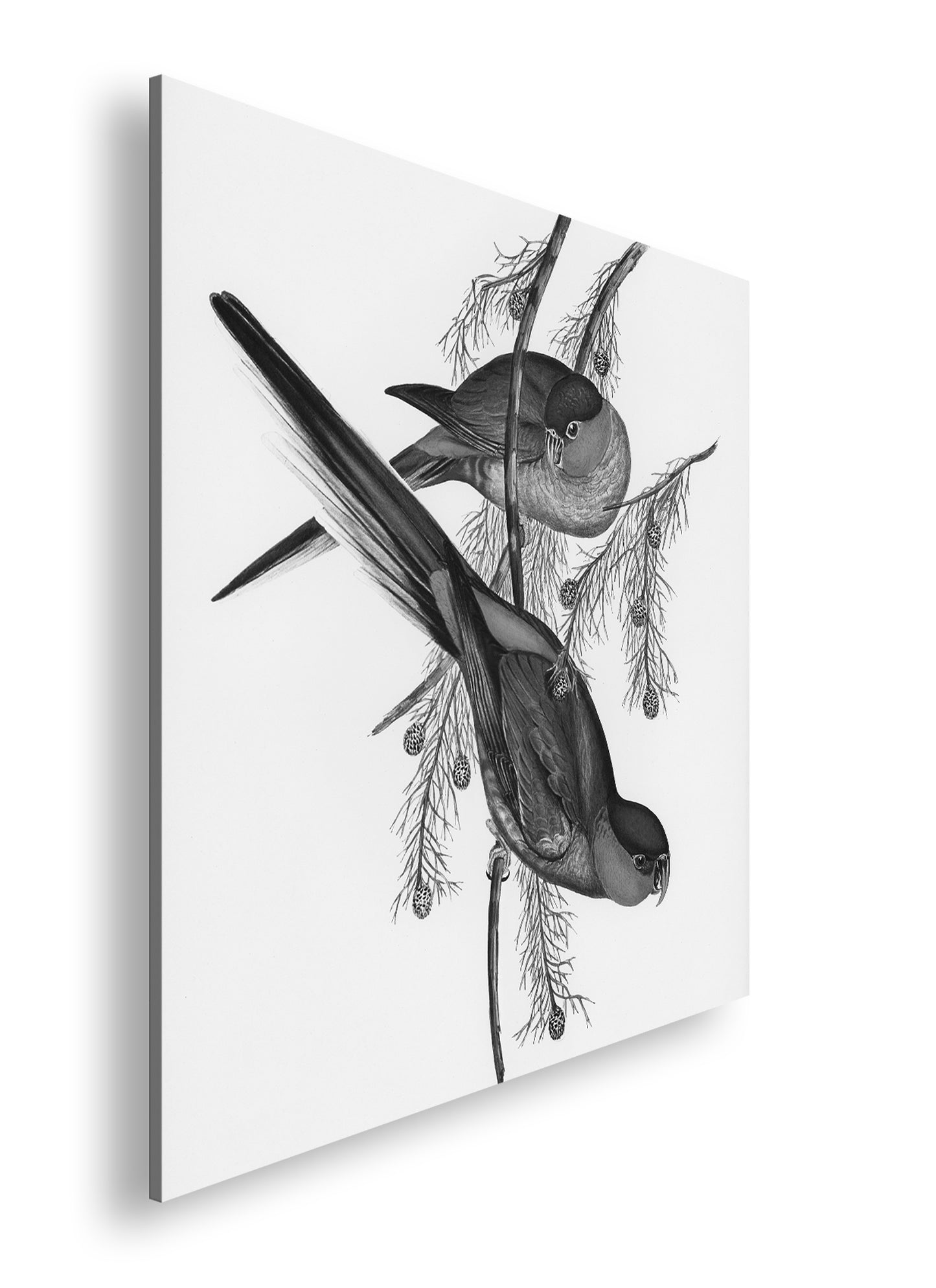 Hauptbild Schwarz & Weiß Quadratisch