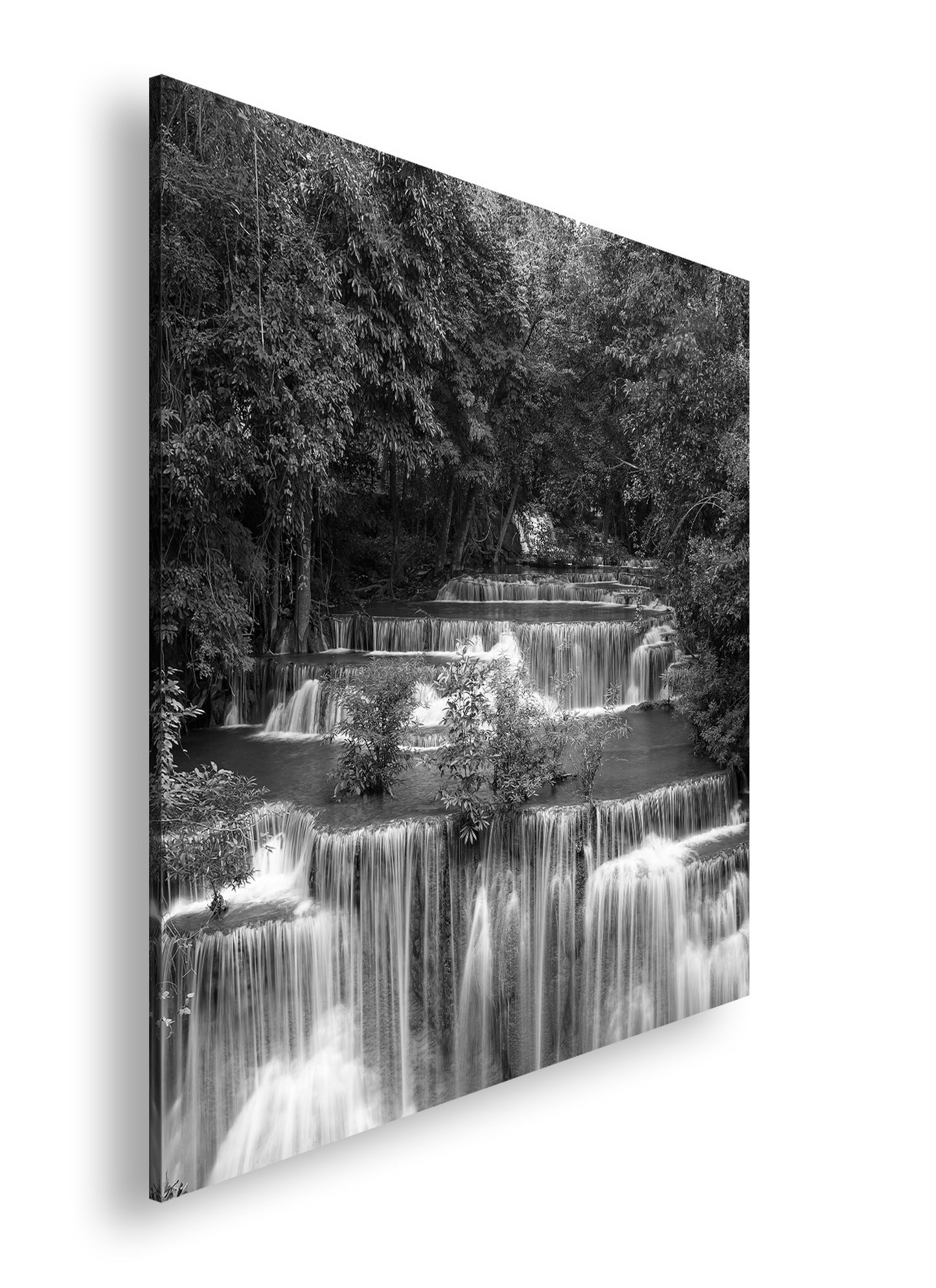 Hauptbild Schwarz & Weiß Quadratisch