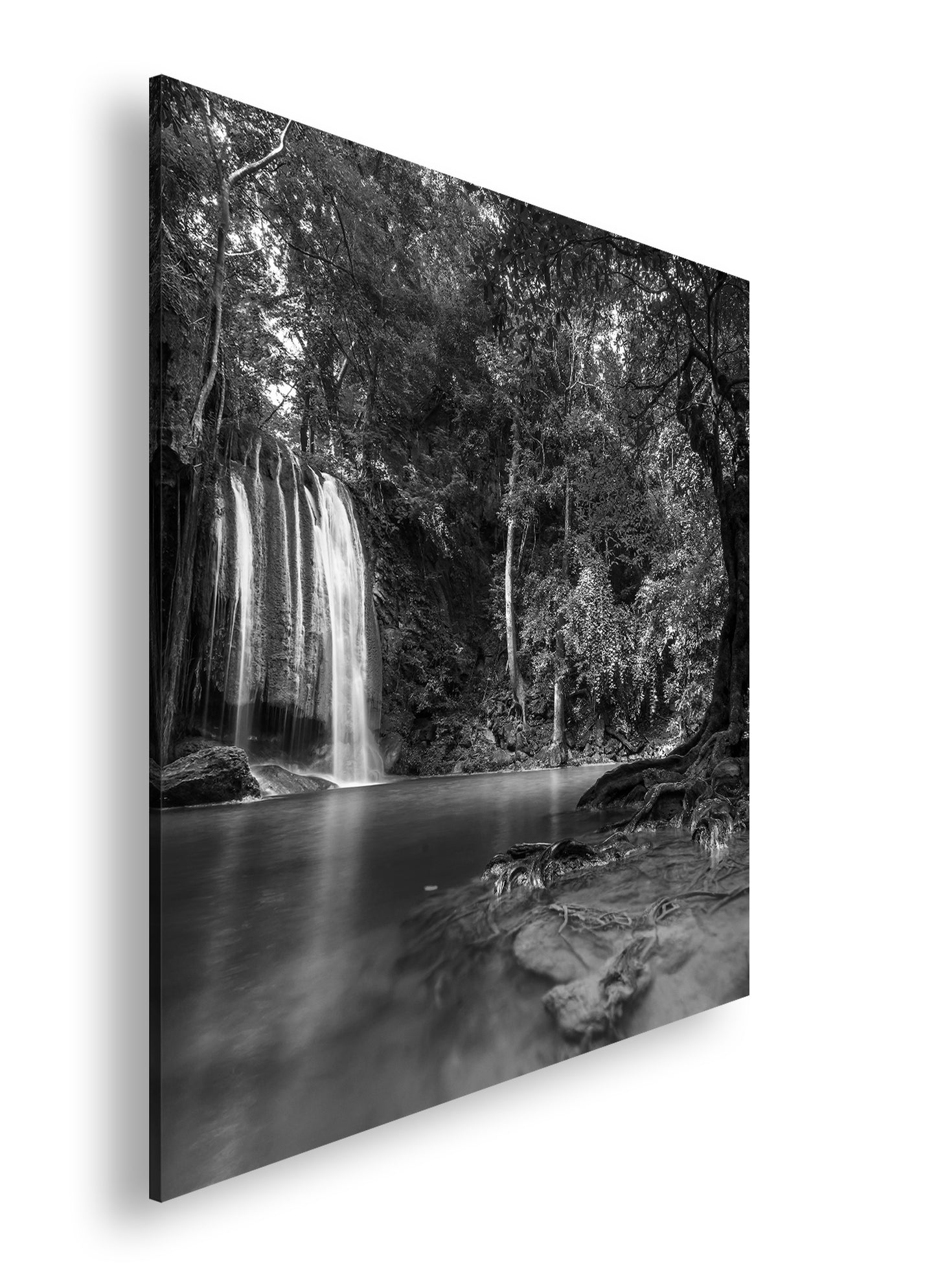 Hauptbild Schwarz & Weiß Quadratisch