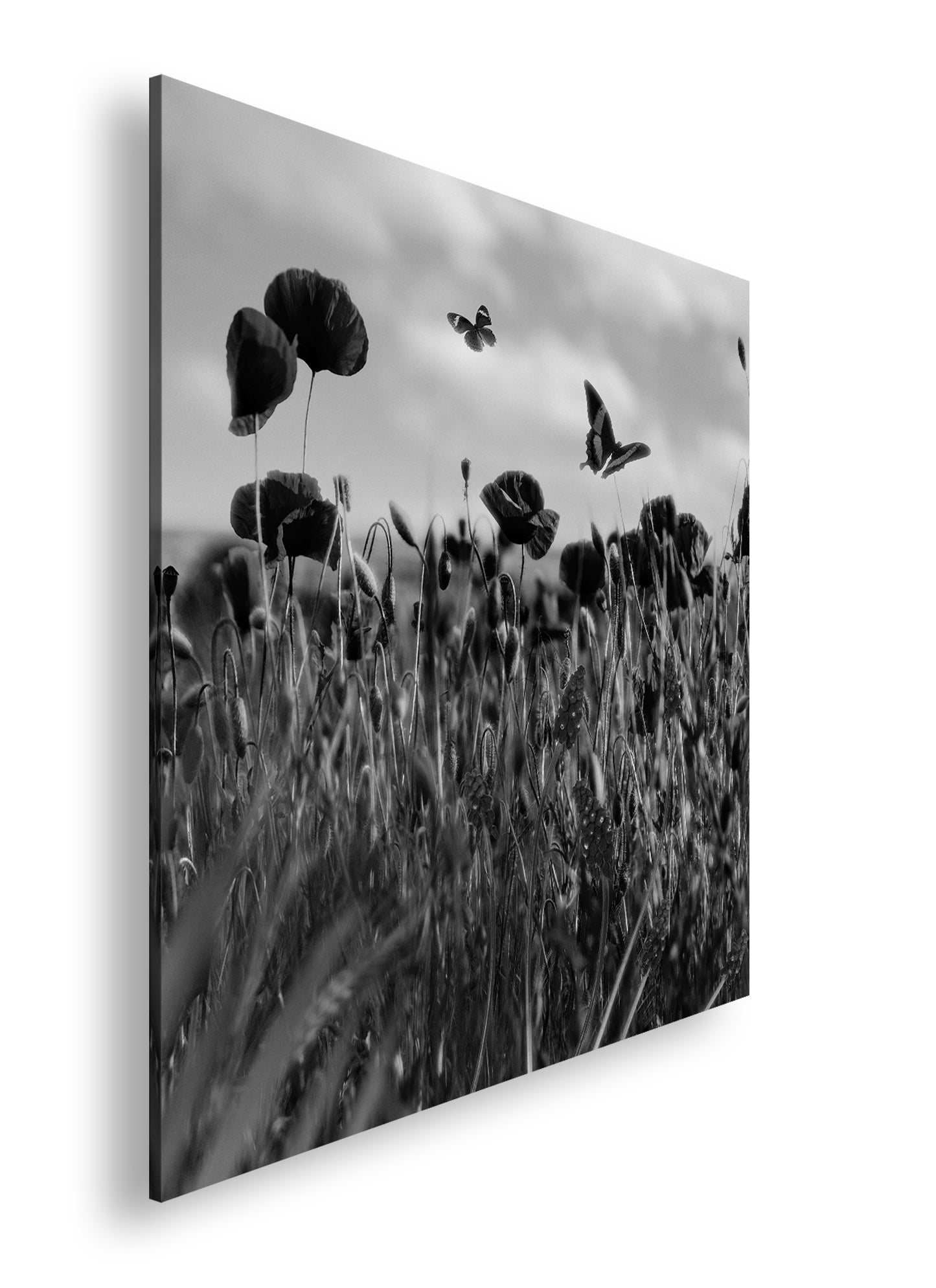 Hauptbild Schwarz & Weiß Quadratisch