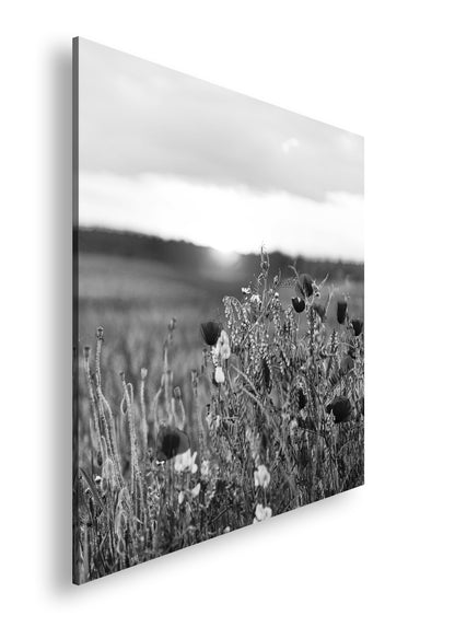 Hauptbild Schwarz & Weiß Quadratisch