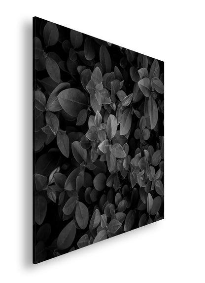 Hauptbild Schwarz & Weiß Quadratisch