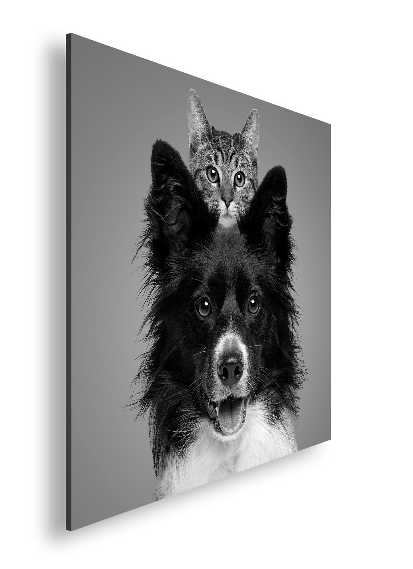 Hauptbild Schwarz & Weiß Quadratisch