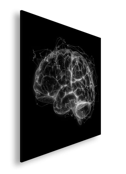 Hauptbild Schwarz & Weiß Quadratisch