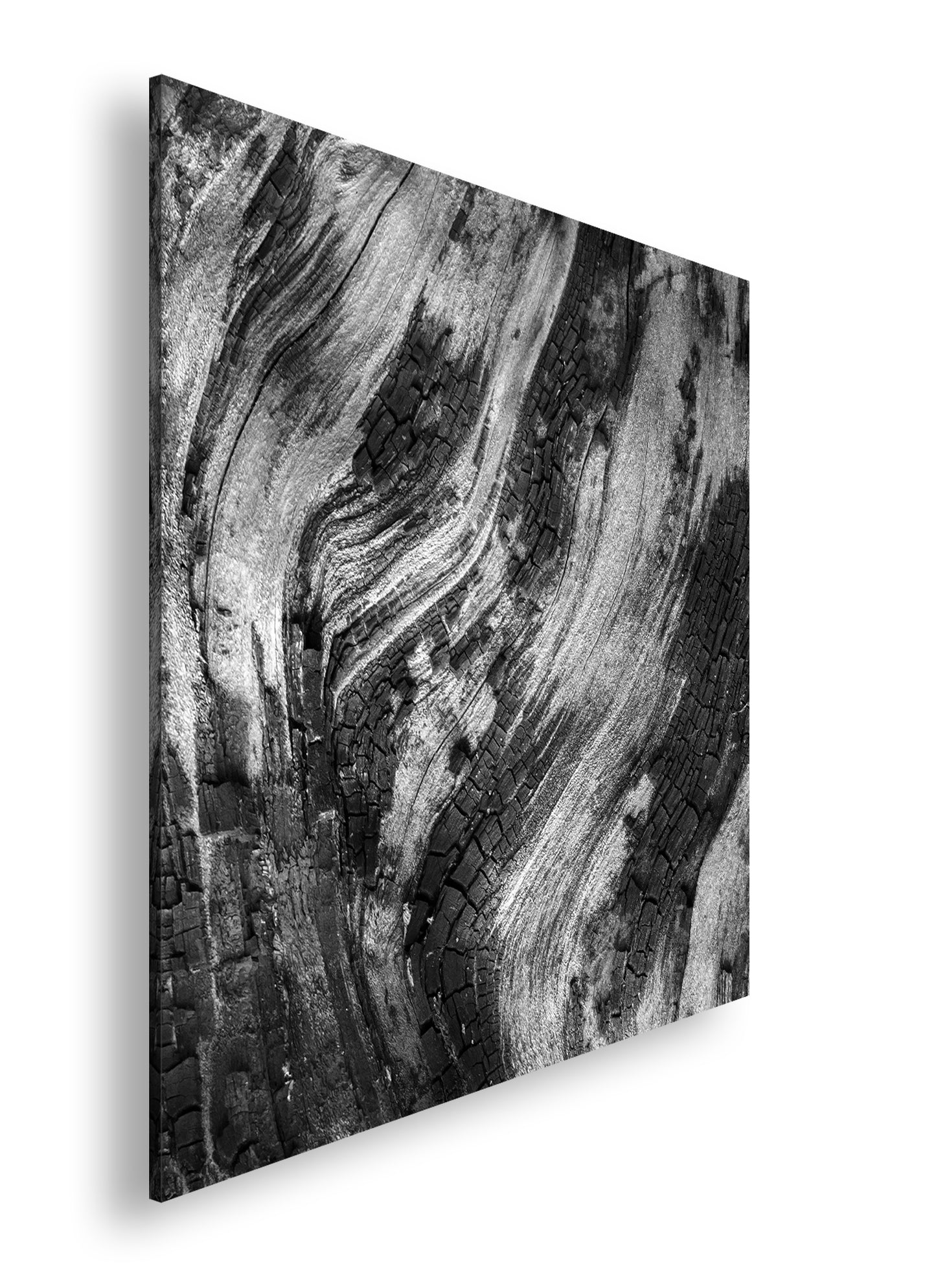 Hauptbild Schwarz & Weiß Quadratisch