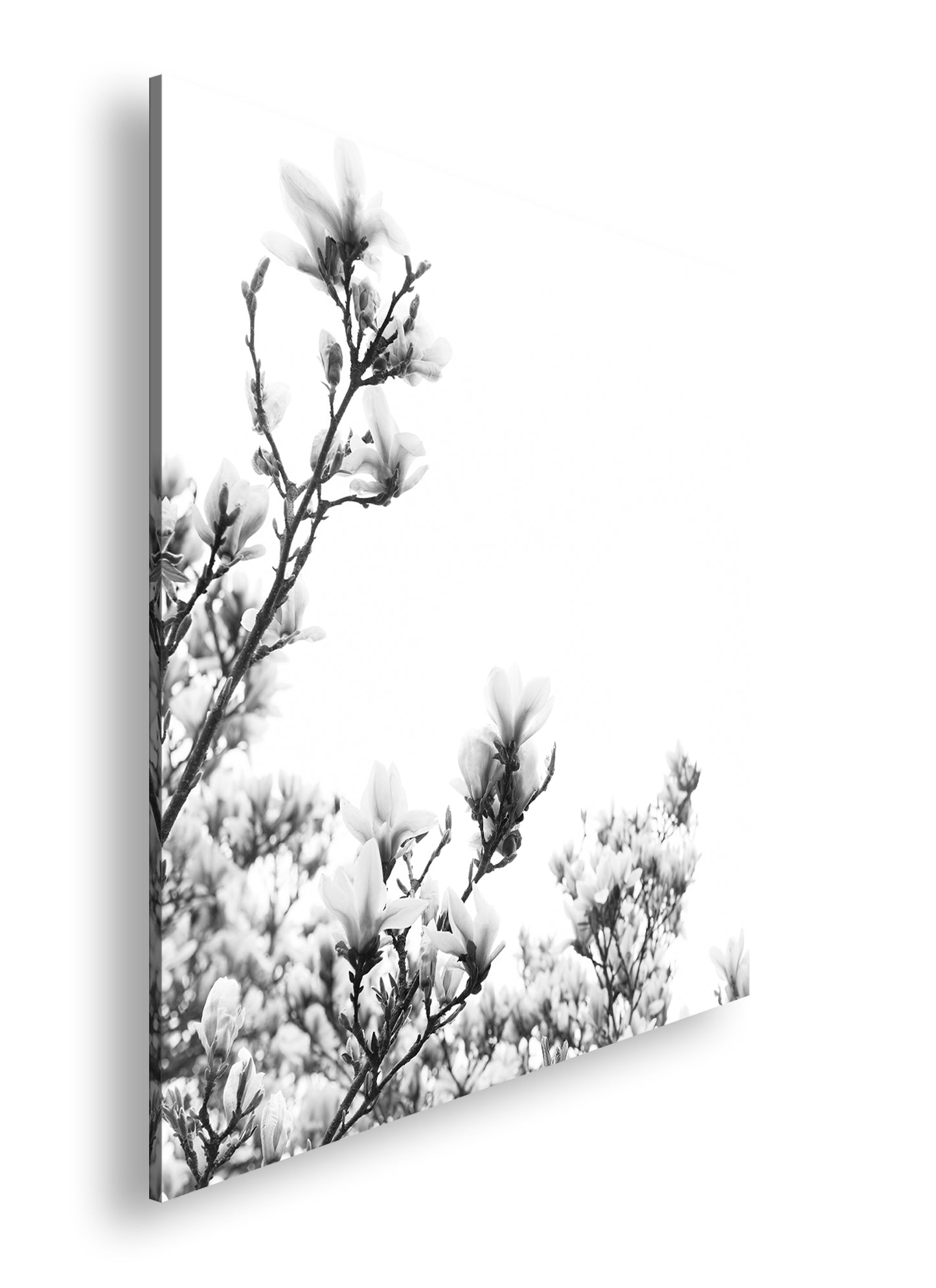 Hauptbild Schwarz & Weiß Quadratisch