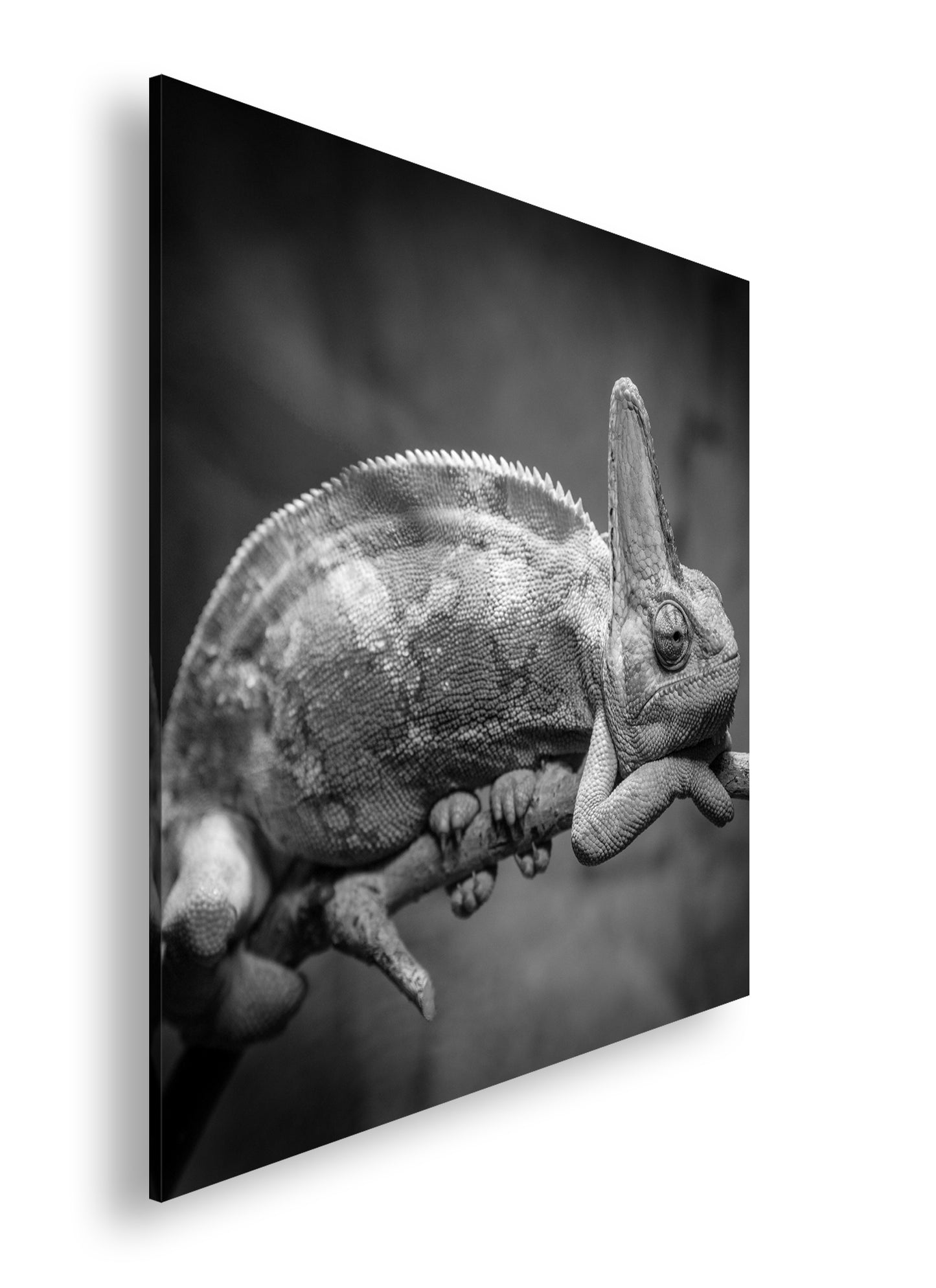 Hauptbild Schwarz & Weiß Quadratisch