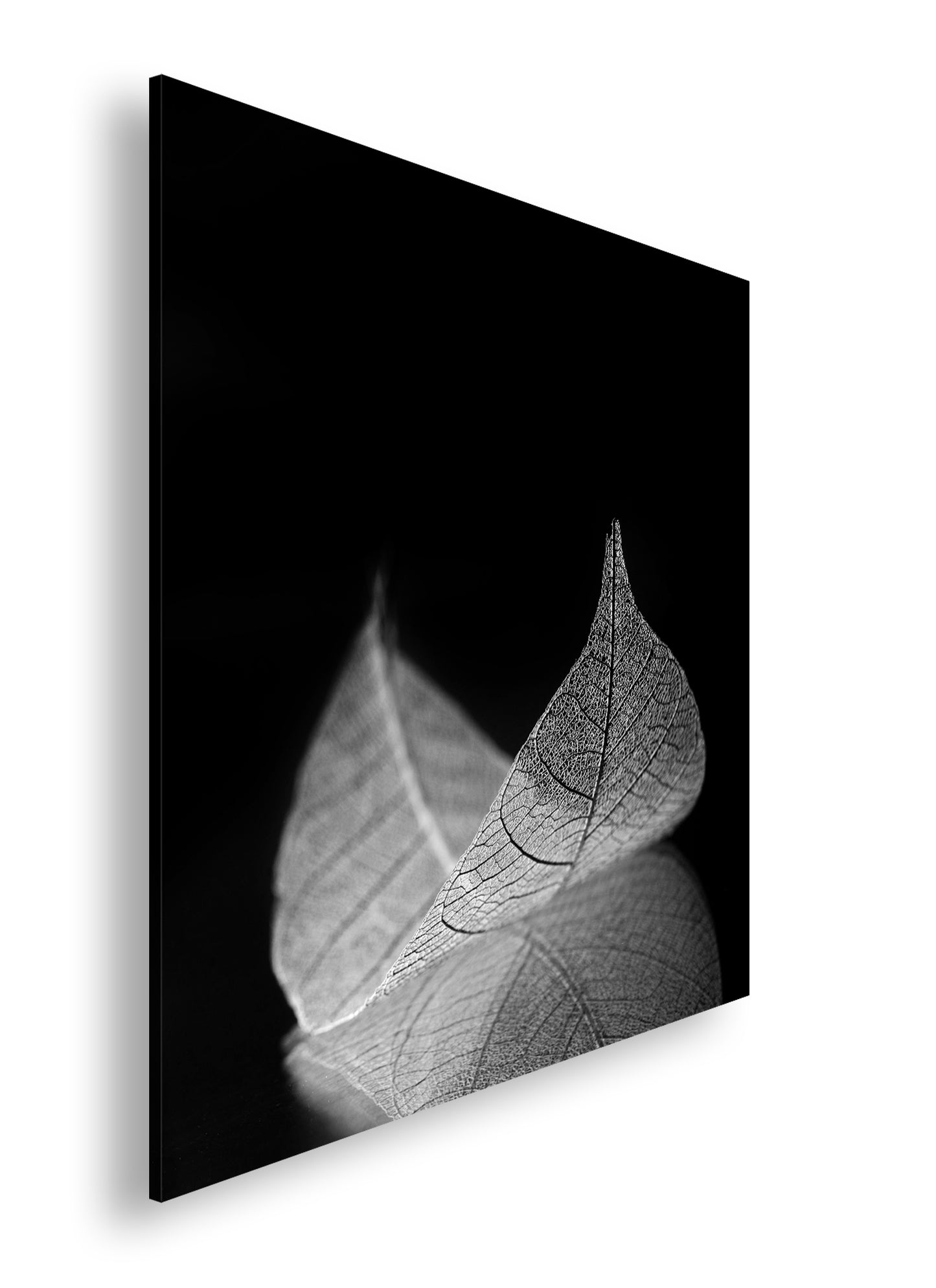 Hauptbild Schwarz & Weiß Quadratisch