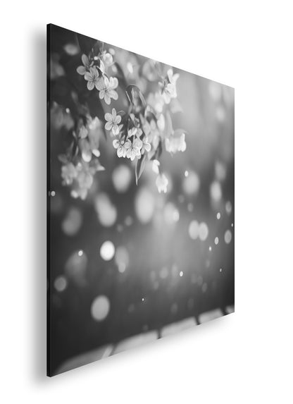 Hauptbild Schwarz & Weiß Quadratisch