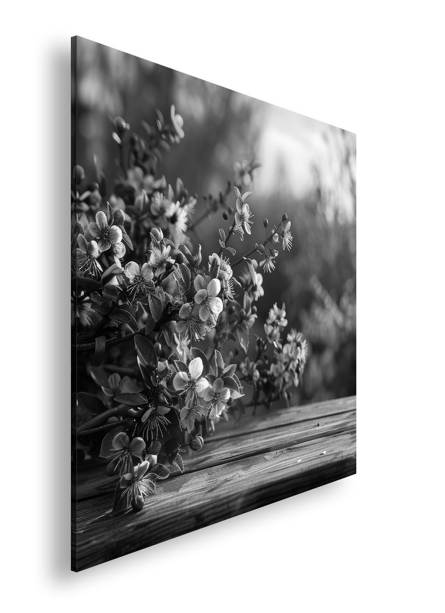 Hauptbild Schwarz & Weiß Quadratisch