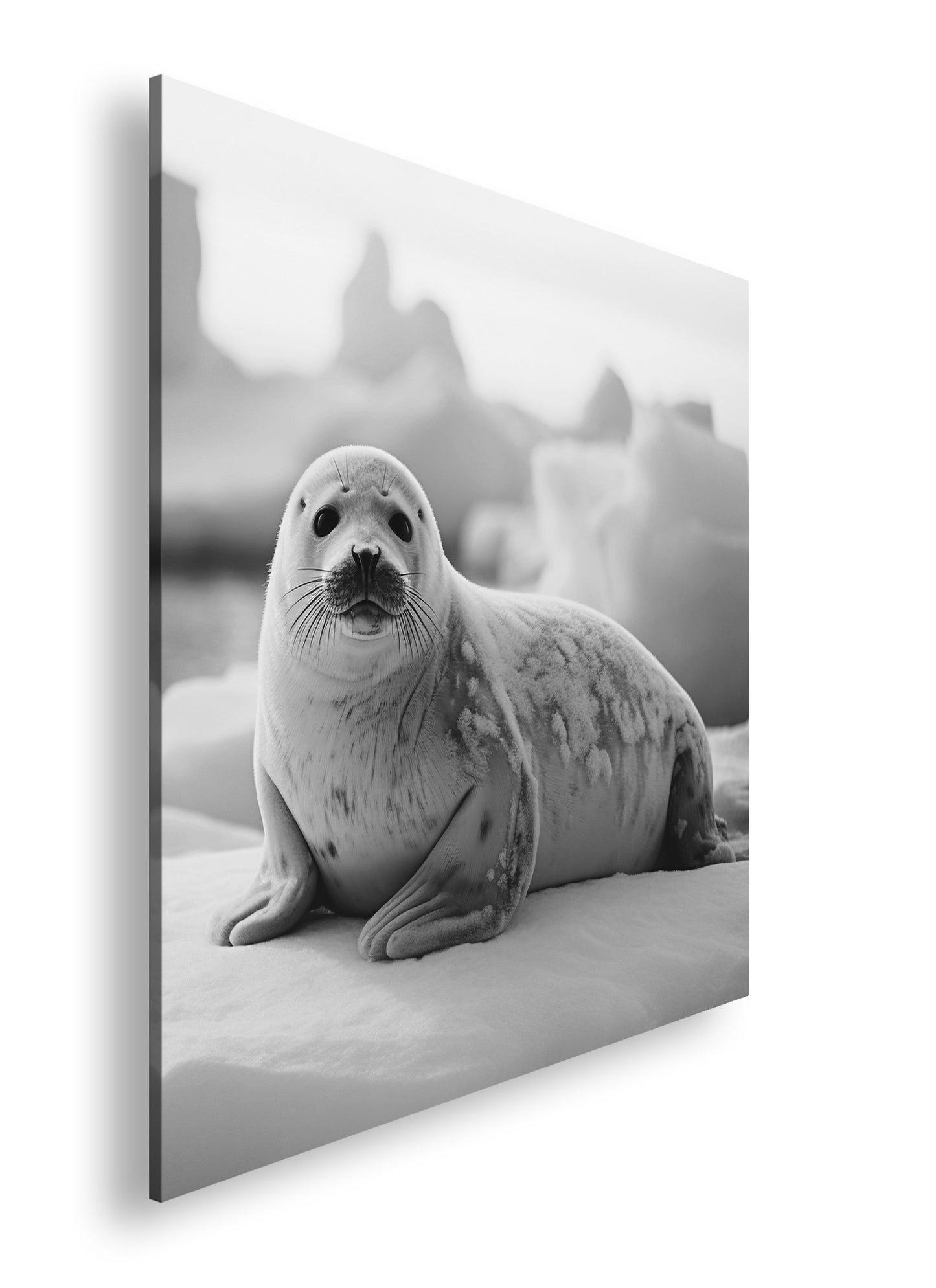 Hauptbild Schwarz & Weiß Quadratisch