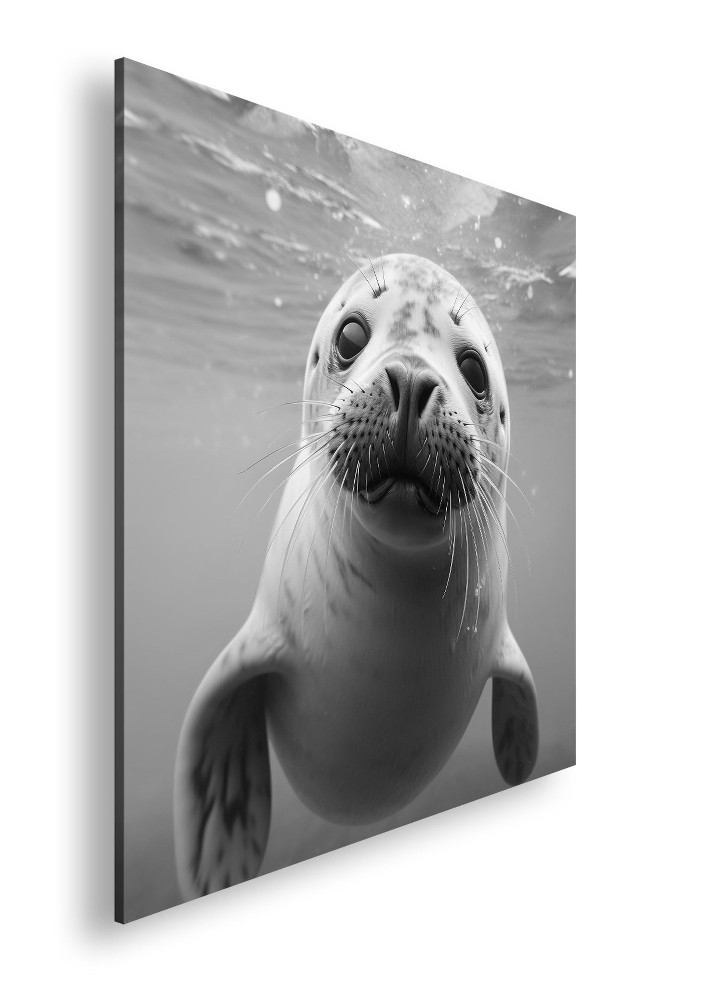 Hauptbild Schwarz & Weiß Quadratisch