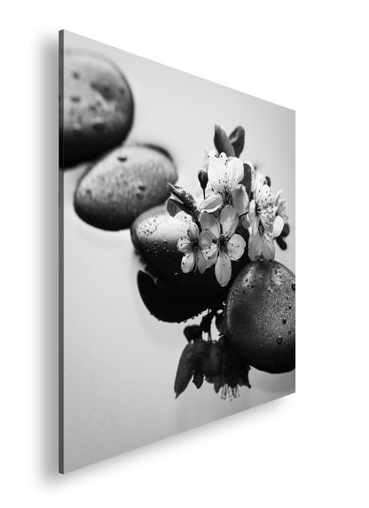 Hauptbild Schwarz & Weiß Quadratisch