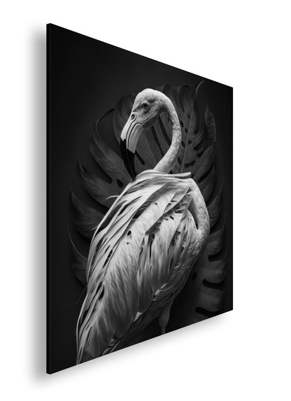 Hauptbild Schwarz & Weiß Quadratisch