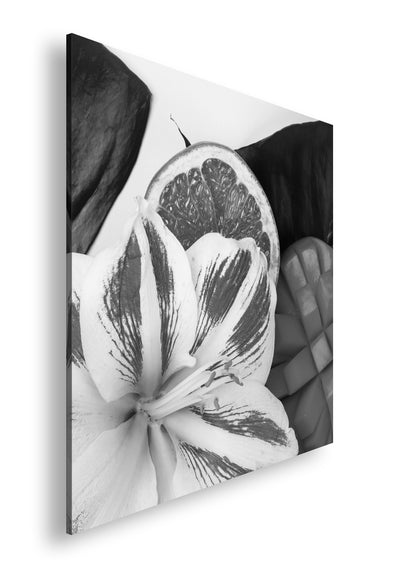 Hauptbild Schwarz & Weiß Quadratisch