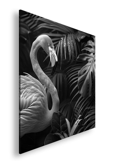 Hauptbild Schwarz & Weiß Quadratisch