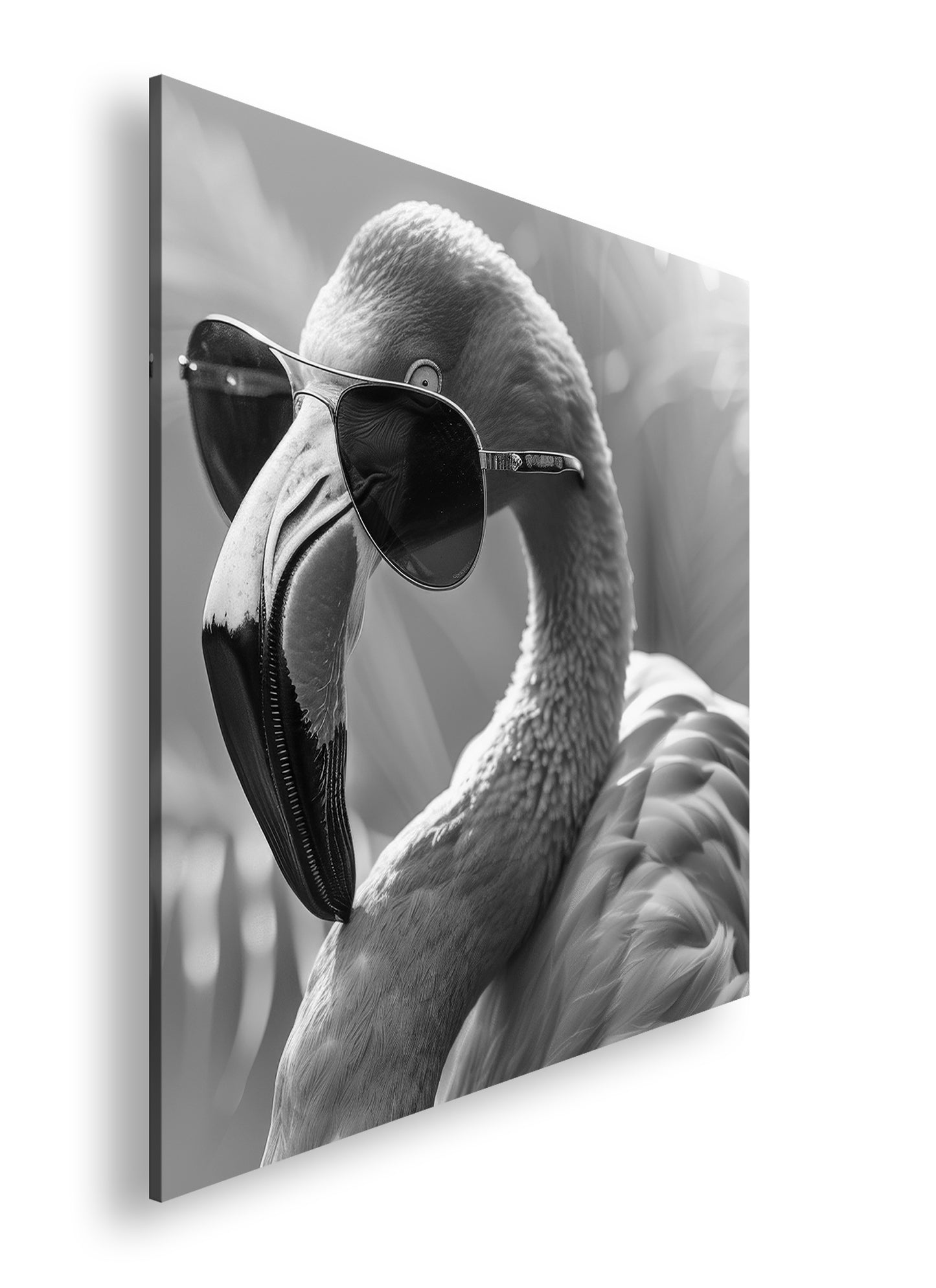 Hauptbild Schwarz & Weiß Quadratisch