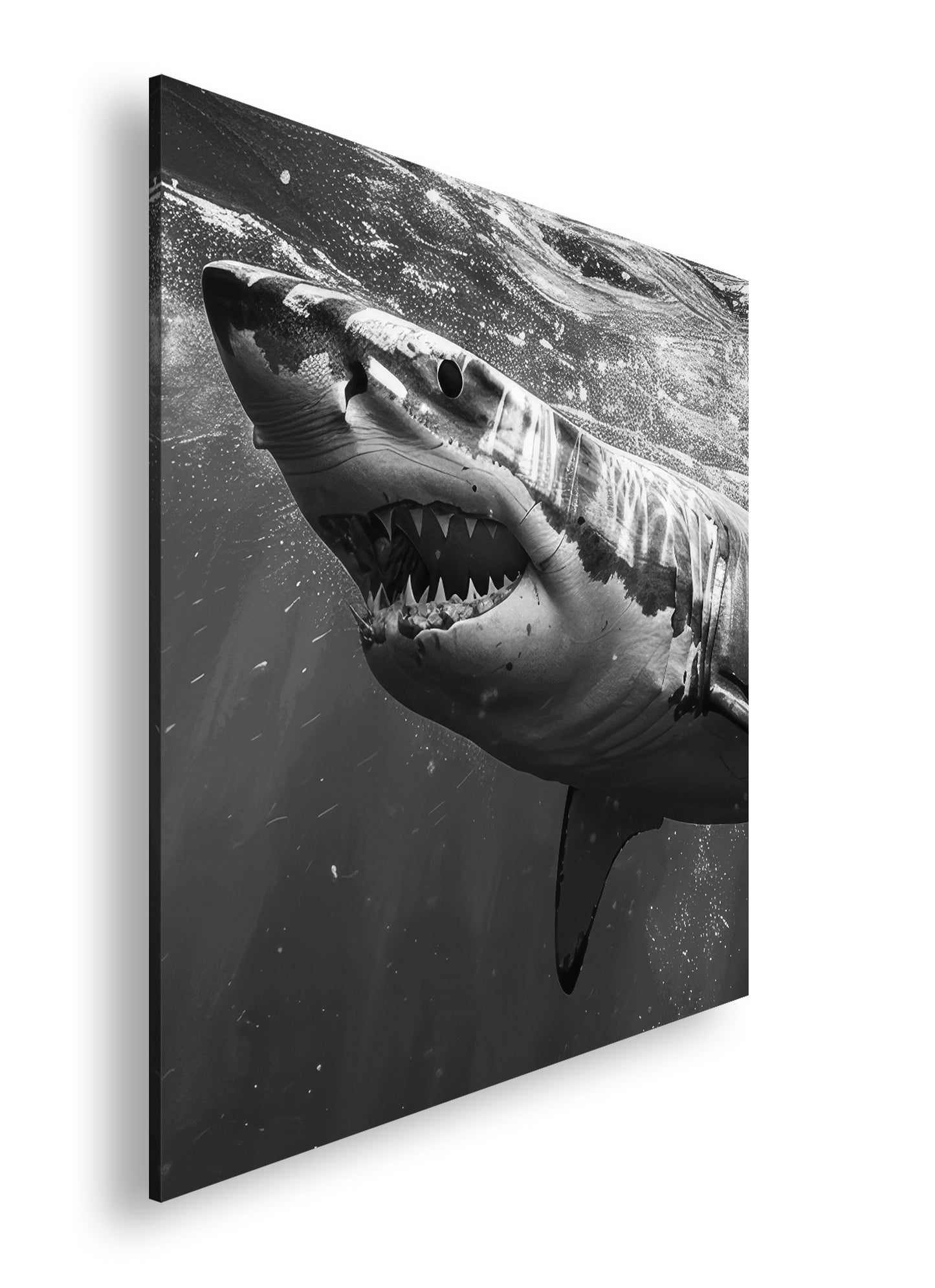 Hauptbild Schwarz & Weiß Quadratisch