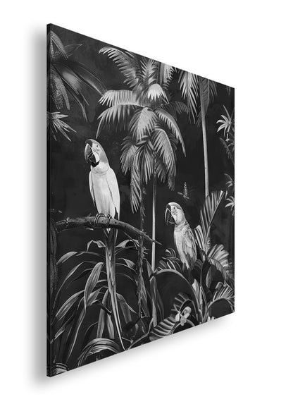 Hauptbild Schwarz & Weiß Quadratisch