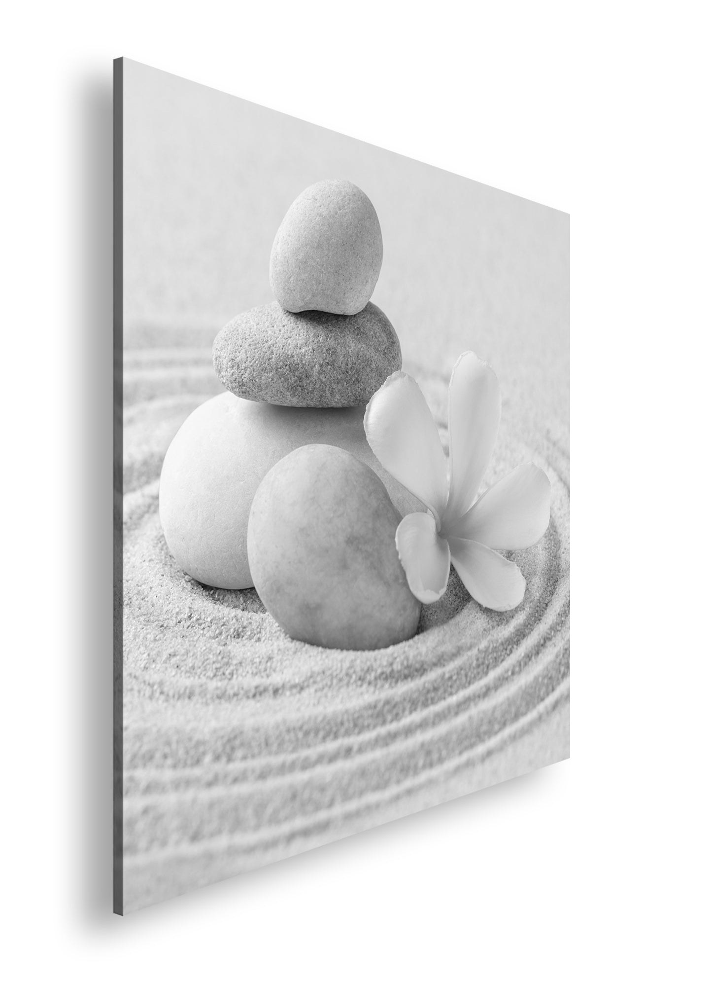 Hauptbild Schwarz & Weiß Quadratisch