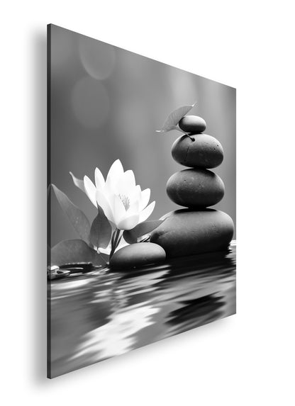 Hauptbild Schwarz & Weiß Quadratisch