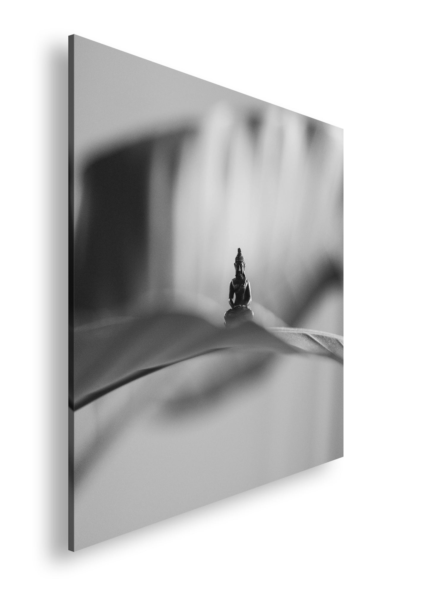 Hauptbild Schwarz & Weiß Quadratisch