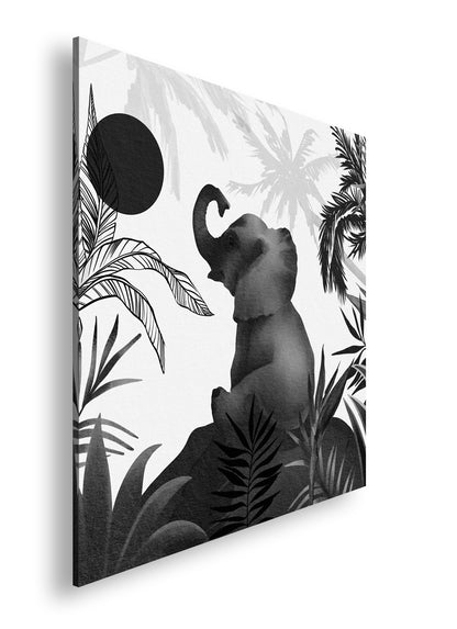 Hauptbild Schwarz & Weiß Quadratisch