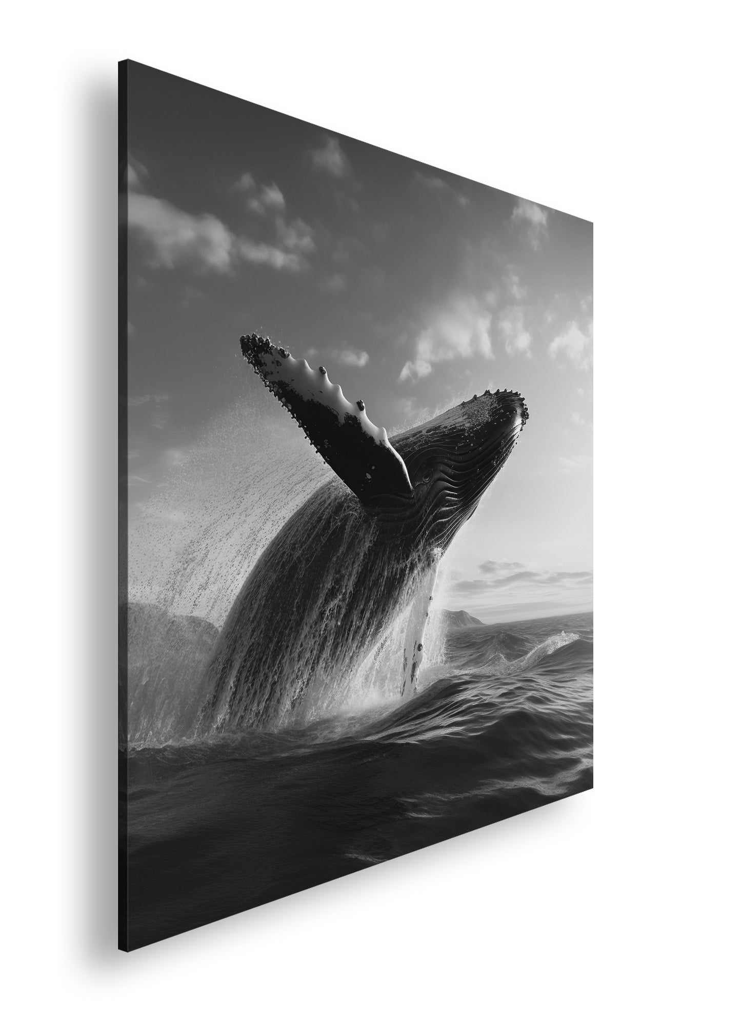 Hauptbild Schwarz & Weiß Quadratisch