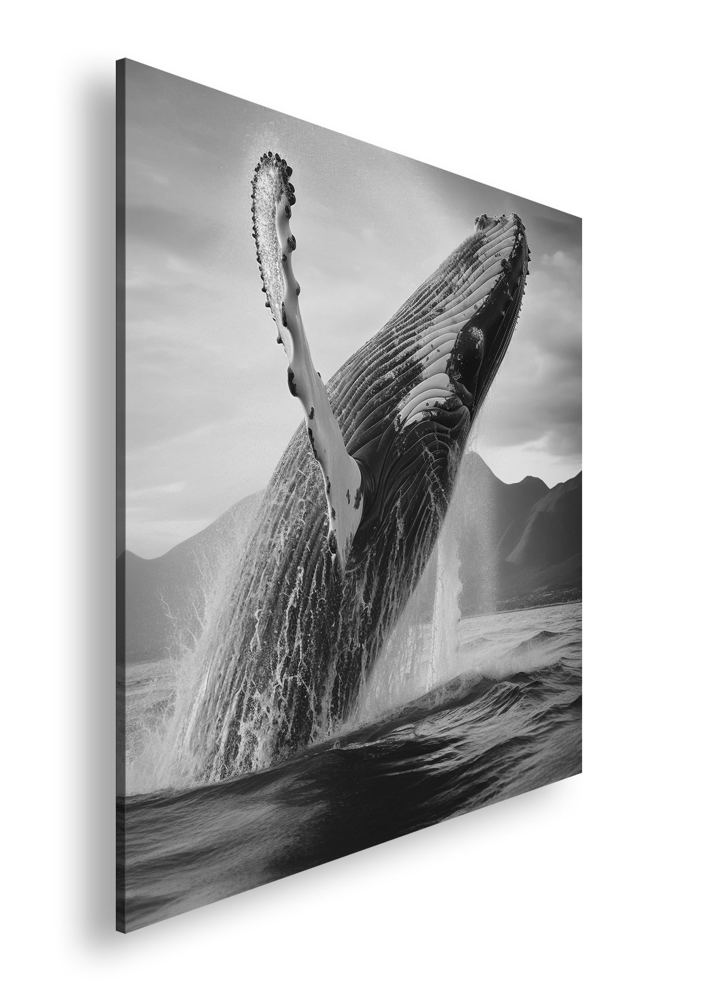 Hauptbild Schwarz & Weiß Quadratisch