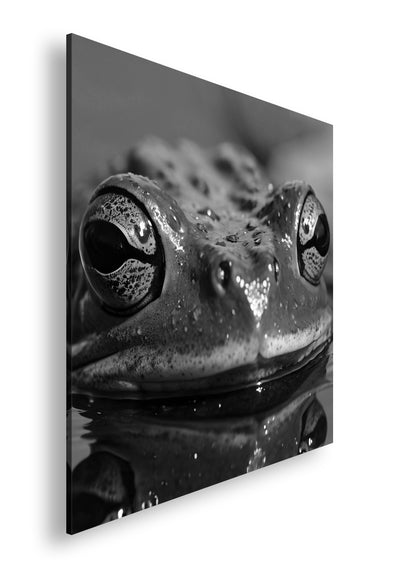 Hauptbild Schwarz & Weiß Quadratisch