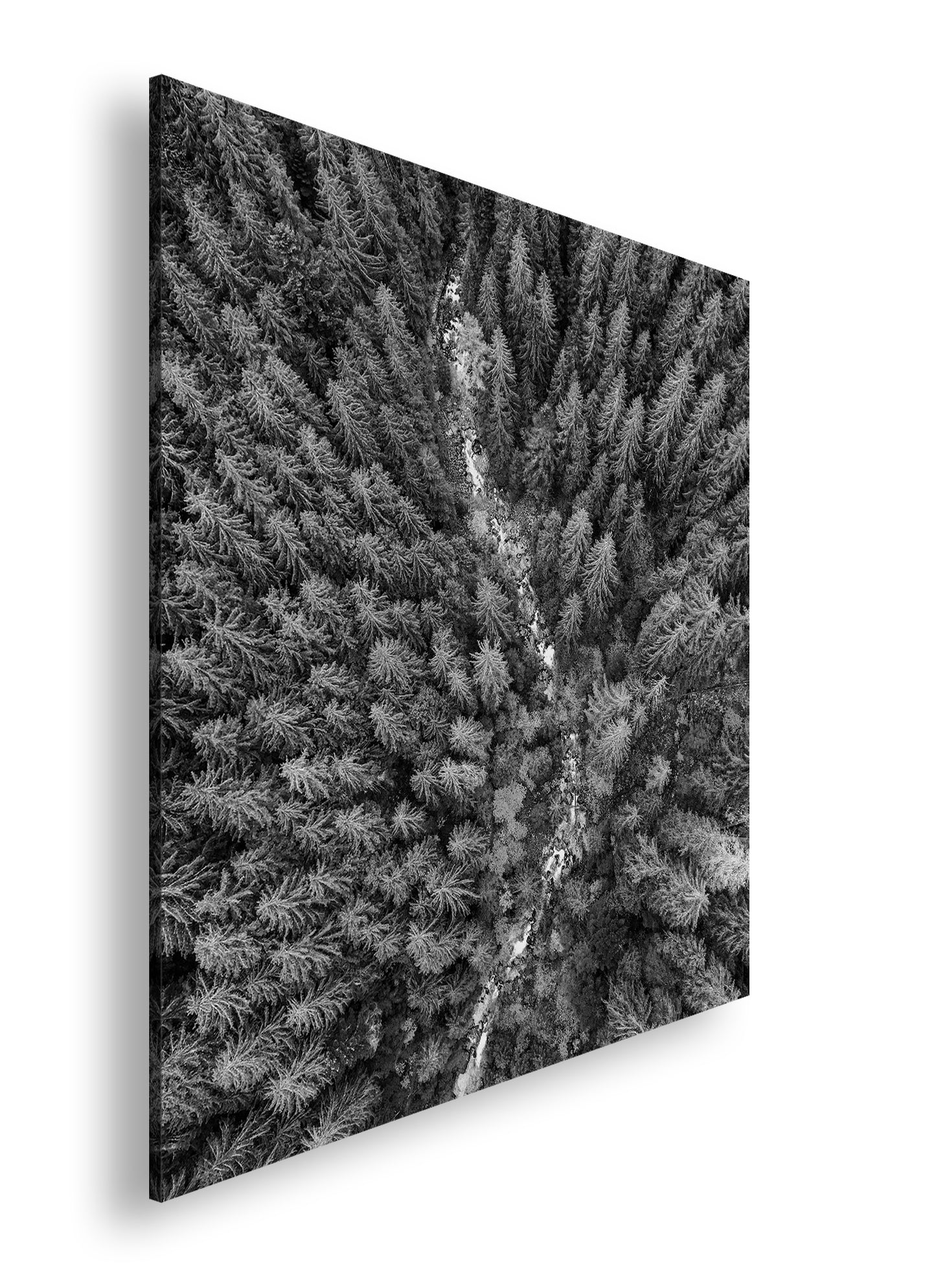 Hauptbild Schwarz & Weiß Quadratisch