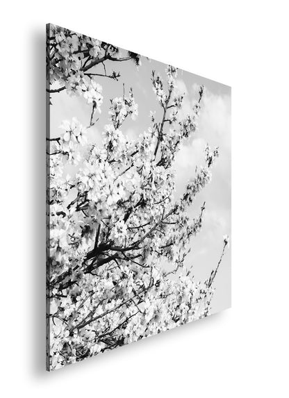 Hauptbild Schwarz & Weiß Quadratisch